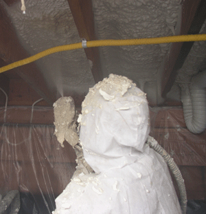 Irving TX crawl space insulation